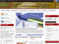 tembaohanh.net
