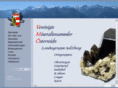 mineraliensammler.com