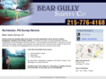 beargullysurveyco.com