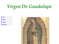 virgendeguadalupe.com