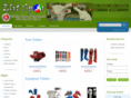 elitspor.net