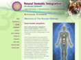 neuralsomaticintegration.com
