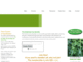 ivy.org