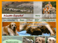 mastinespanol.org