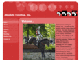 absoluteeventing.com