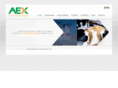 aexcomunicacao.com