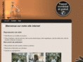 clefs-serrurerie-montpellier-vauquier.com