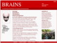 brains.no