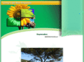 baixempordadigital.com