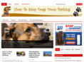 howtostopdogsfrombarking.com