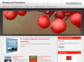 ressources-humaines.net