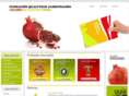 fundacionqualytech.com