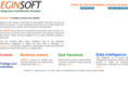 eginsoft.com