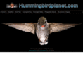 hummingbirdplanet.com