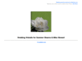 mikeandsummer.com