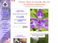 iris-bulbeuses.org