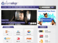 yayinakisi.net