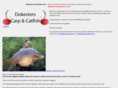 carpandcatfish.com