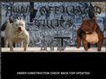 hoodaffiliatedbullies.com