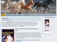 horsekid.com