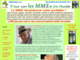 mmsglobe.com