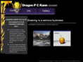 dragonpckann.com