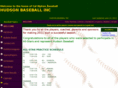 hudsonbaseball.org