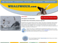 whalewatch.com