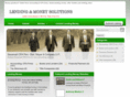 lendingmoneysolutions.com