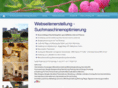 webseitenerstellung-suchmaschinen-platzierung.de