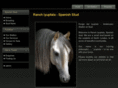 spanishstud.co.uk
