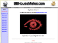 bbhousemates.com