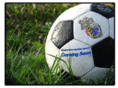 stephendecatursoccer.com