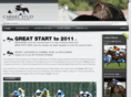 carmelstud.co.uk