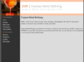 expressmetalrefining.com