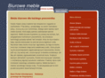 biurek.com