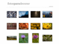 fotosparadecorar.com