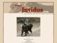 invidus.net