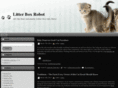 litterboxrobot.com