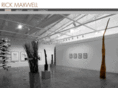 rickmaxwell.net