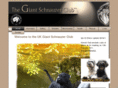 giantschnauzerclub.co.uk