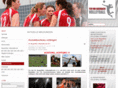 tsv-auerbach-volleyball.de