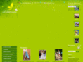 magicstore.ru