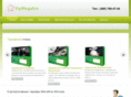 vipmegafon.ru