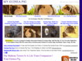 myguineapig.com
