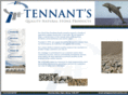 scottish-stone.com