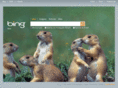 bing.com.br