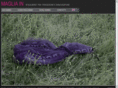magliain.com