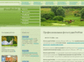 proprint.ru