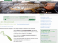 peche-aux-leurres.com